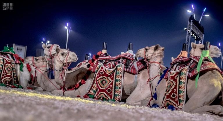 قوافل الإبل تسير في سوق عكاظ