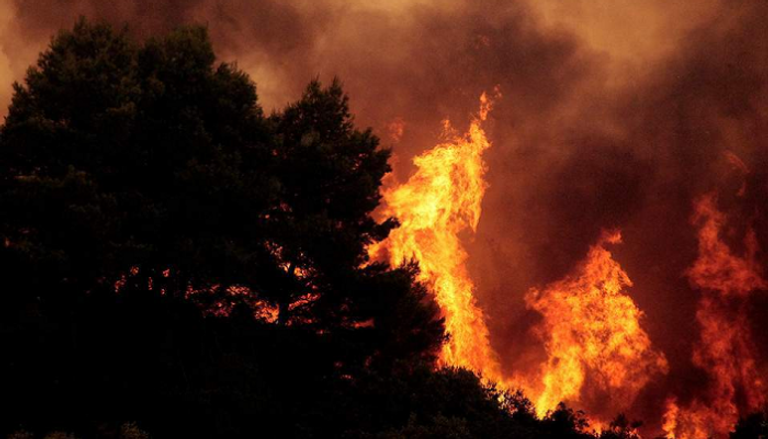 حريق غابات ضخم في جزيرة قبرص