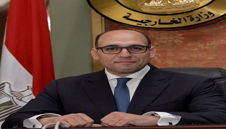 المستشار أحمد حافظ المتحدث باسم وزارة الخارجية المصرية