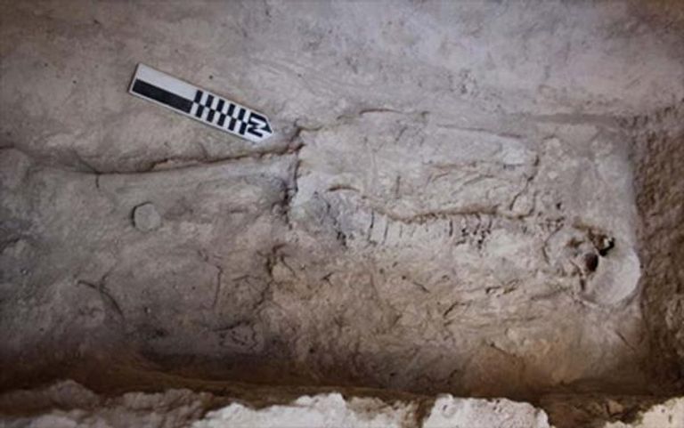 الموقع الذي عثر فيه على المقابر