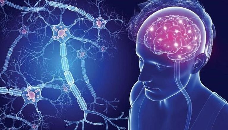 الاكتشاف يطوّر علاجات لأمراض الدماغ