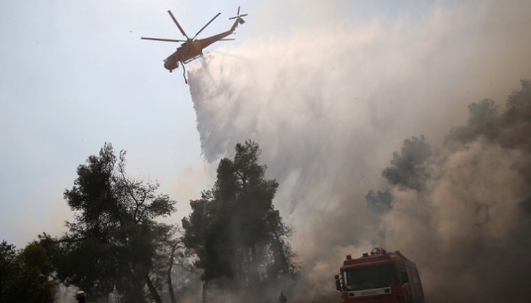 الحريق دمر نحو 2500 هكتار من غابات الصنوبر المحمية