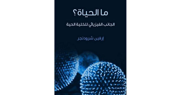 الكاتب والمترجم المصري أحمد سمير سعد