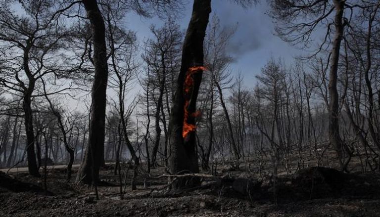 تقدم جهود إخماد حرائق غابات اليونان