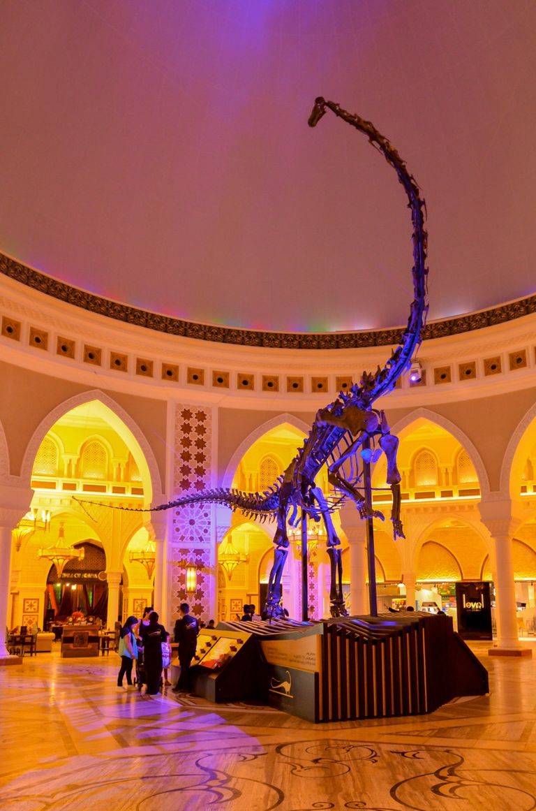 الهيكل العظمي يعود إلى العصر الجوراسي