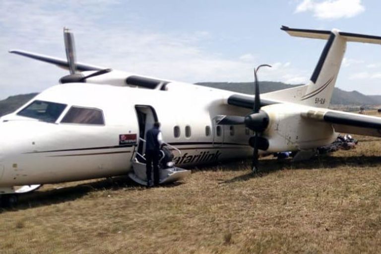 لم ينج أي من الحيوانات في الحادث