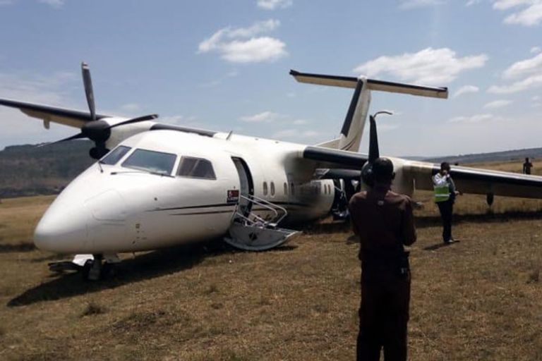 لم ينج أي من الحيوانات في الحادث