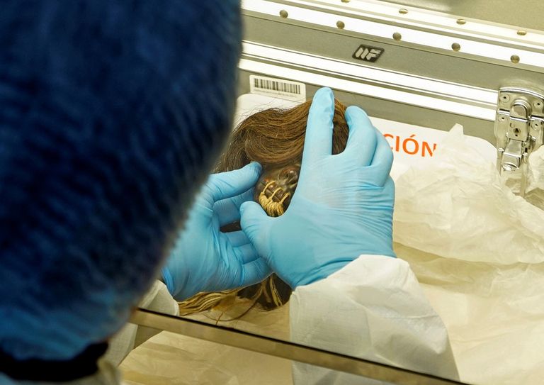 رأس محارب قديم من قبائل الأمازون