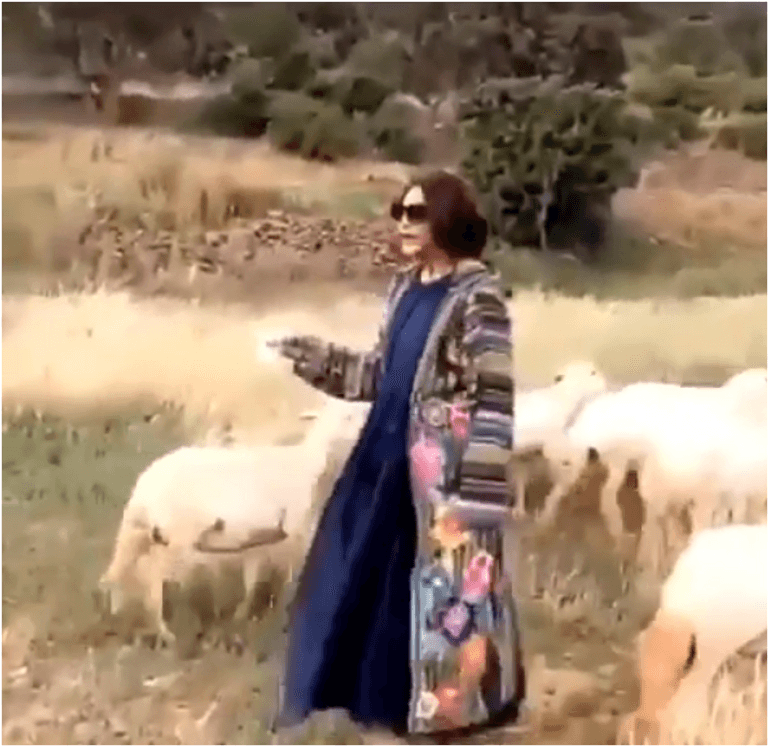 المطربة الإماراتية أحلام