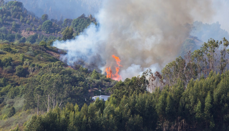 محاولات مستمرة للسيطرة على حرائق الغابات في جزر الكناري