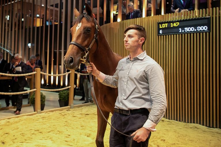 المهر ثمرة تزاوج فحل الخيل "دوبايي" والفرس "برودنزيا"