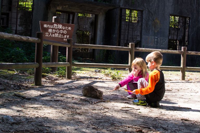 أوكونوشيما جزيرة الأرانب اليابانية