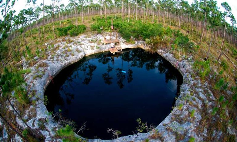 جزء من عظام الصقر التي شملها البحث