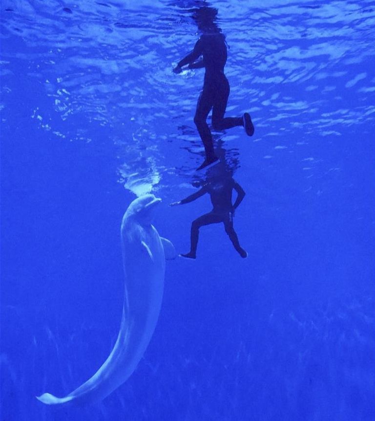 صورة نشرتها وكالة شينخوا لأعلى حوض مائي في العالم