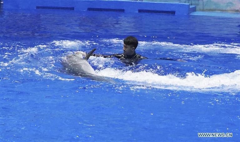 صورة نشرتها وكالة شينخوا لأعلى حوض مائي في العالم