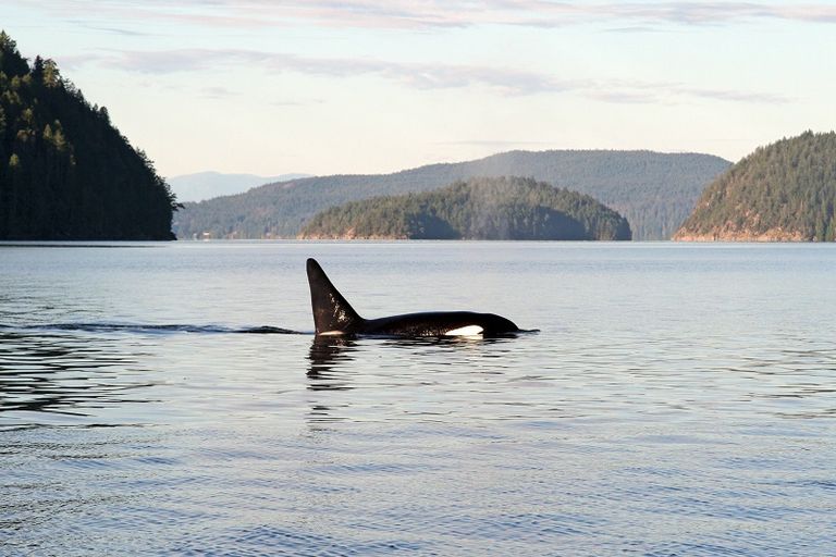 ساحل "صن شاين" في كندا