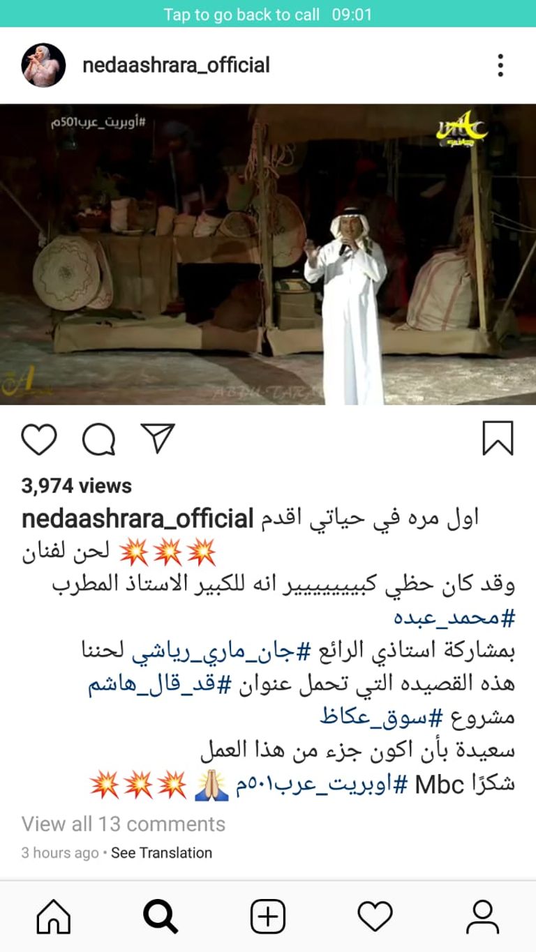 الفنانة نداء شرارة