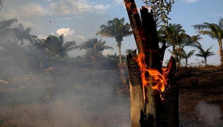 حرائق غابات في البرازيل