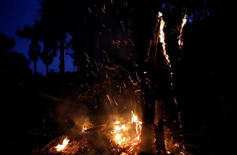 حرائق غابات الأمازون