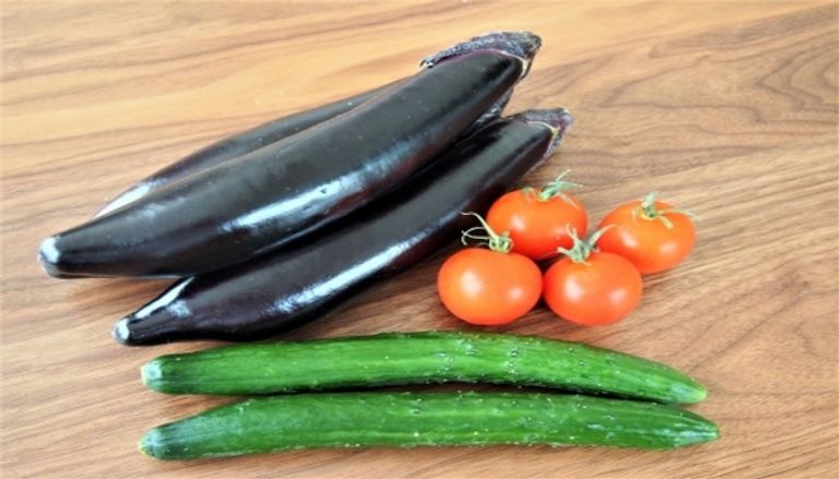 طرق صحية للحفاظ على الطعام في فصل الصيف