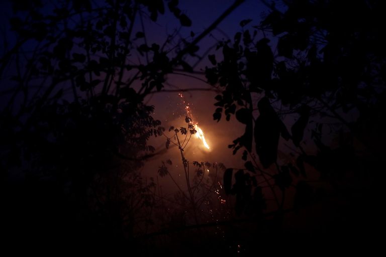 72 ألف حريق التهم مساحة شائعة من غابات الأمازون