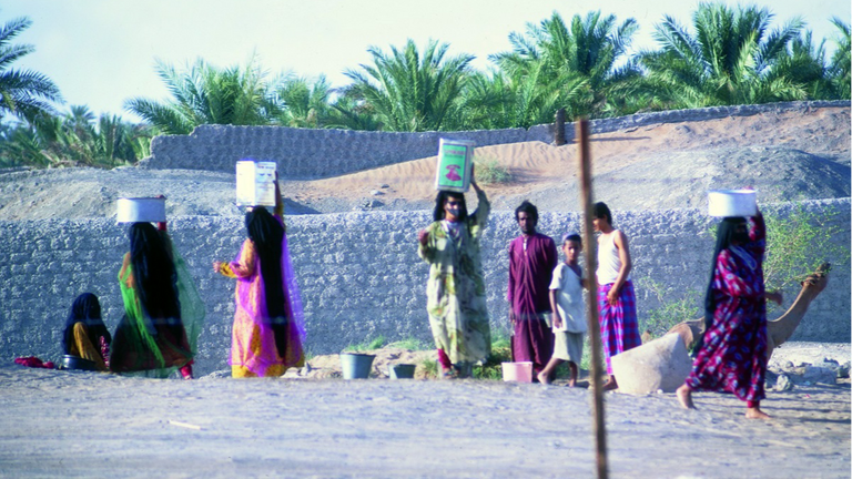 من رحلات المقيظ