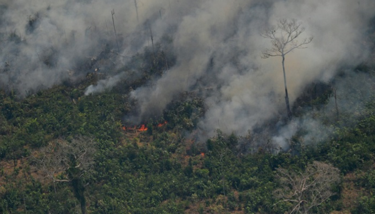لقطة جوية لنيران تلتهم غابة الأمازون في شمال البرازيل