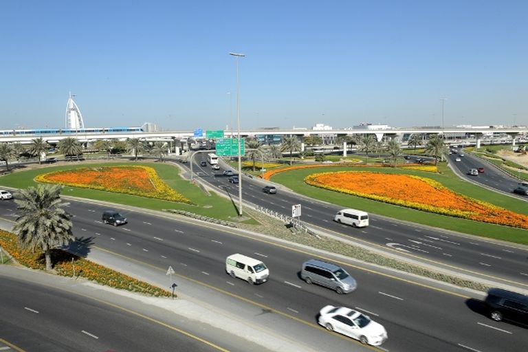 المزروعات تغطي مساحات شاسعة من دبي