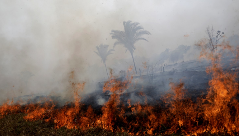 78383 حريقا اندلع في غابات الأمازون منذ بداية العام