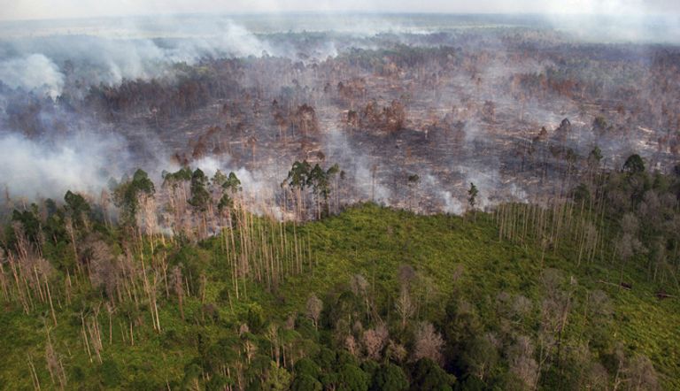 حرائق الغابات في أمريكا أدخنة محطة للطاقة