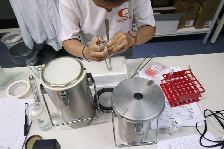 وحيد القرن الأبيض المهدد بالانقراض