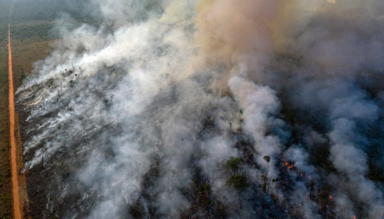 النيران أكلت 10 آلاف كيلومتر مربع في بوليفيا