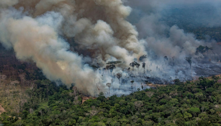 الحرائق في غابات وسط القارة الأفريقية أكثر ضراوة