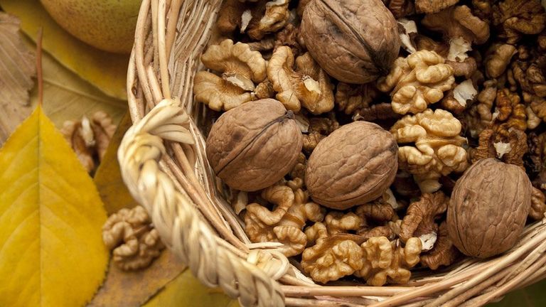 المواد النشطة بيولوجيا الموجودة في الجوز تحارب ارتفاع ضغط الدم