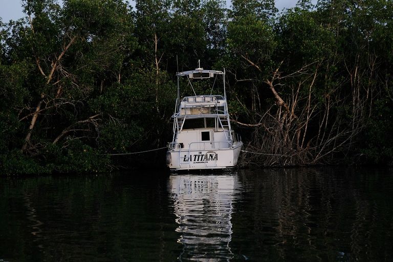 العاصفة مصحوبة برياح تبلغ سرعتها 100 ميل في الساعة