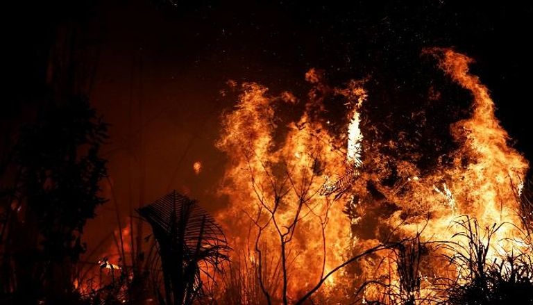 غابات الأمازون فقدت 1114.8 كيلومتر مربع بسبب الحرائق - رويترز