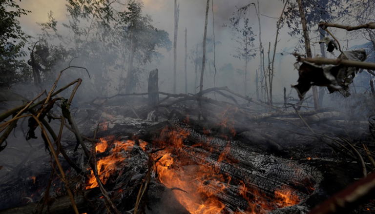 البرازيل تتعرّض حالياً لحرائق غابات مُدمِّرة