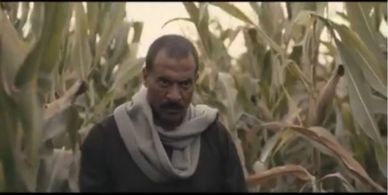 الممثل المصري ماجد المصري