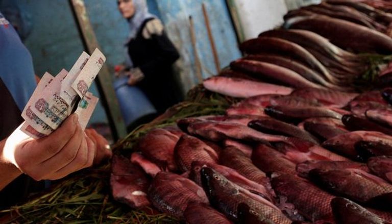 بائع في سوق السمك بمصر -رويترز