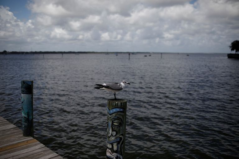 الملايين في فلوريدا ونورث كارولاينا يتأهبون للإعصار