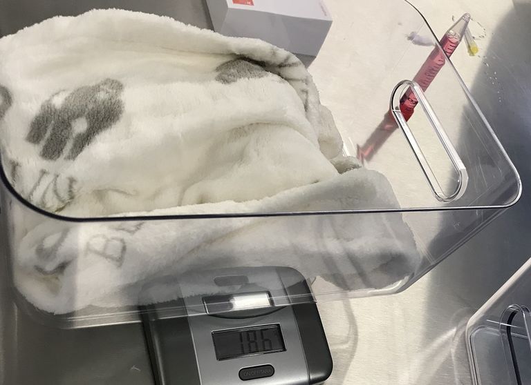 الصغيران يحظيان برعاية كبيرة في الحديقة