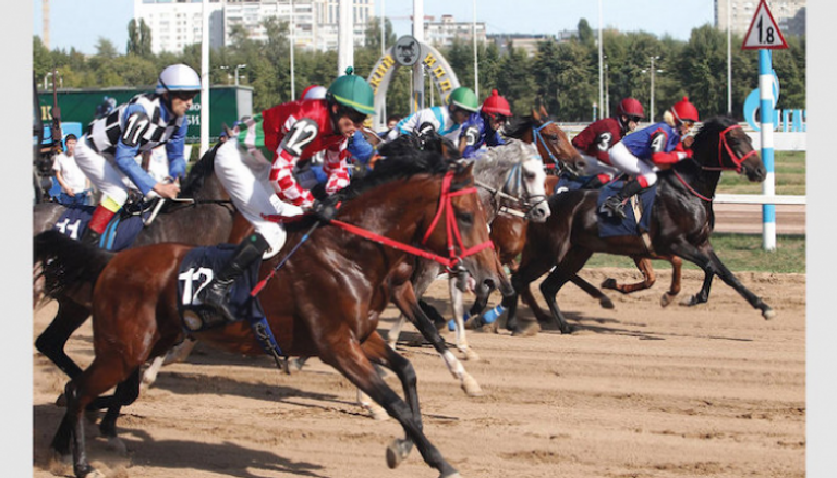 جانب من سباقات كأس رئيس دولة الإمارات للخيول العربية