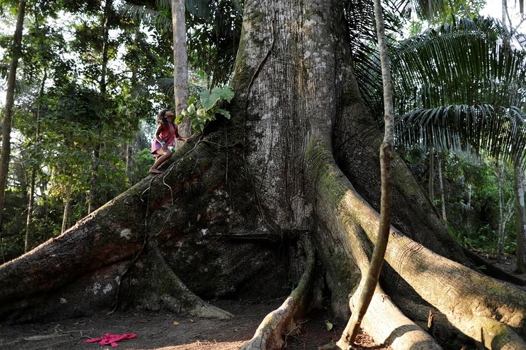 أفراد من قبيلة "شانيناوا"