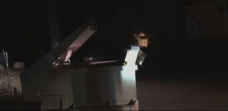 الدب الصغير محتجز داخل الصندوق