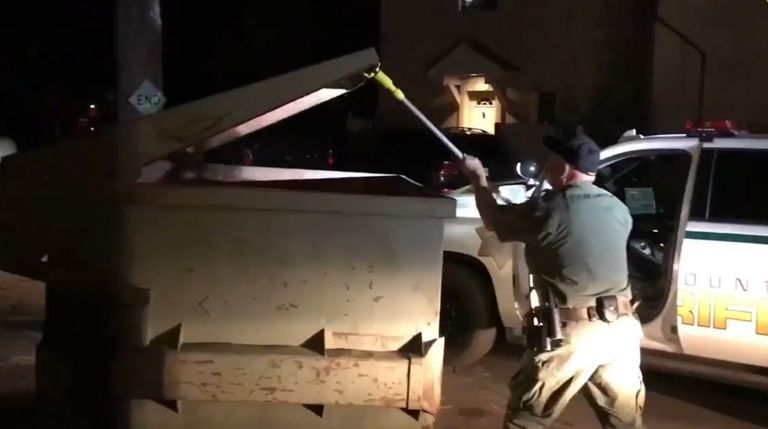 الدب الصغير محتجز داخل الصندوق