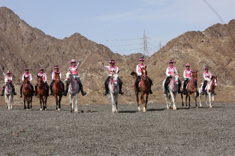 "القافلة الوردية".. تطوع ودعم اجتماعي ورعاية رسمية