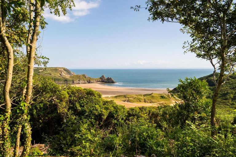 الكرسي المطروح للبيع في المزاد