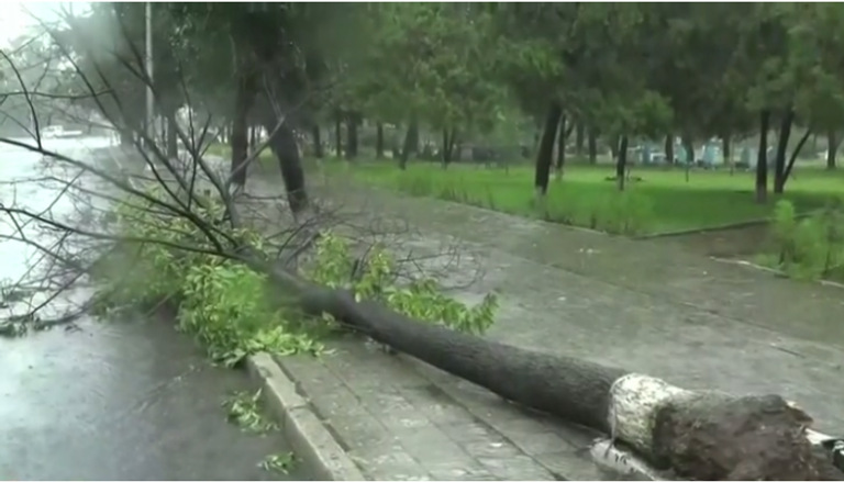  الإعصار لينجلينج ضرب جزيرة جيجو والمدن الساحلية الجنوبية 