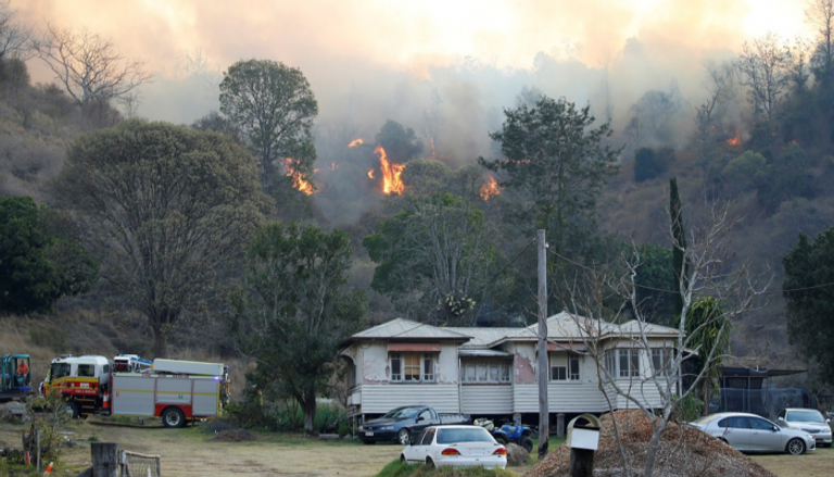 الحرائق استعرت في الغابات بعد هبوب رياح شديدة