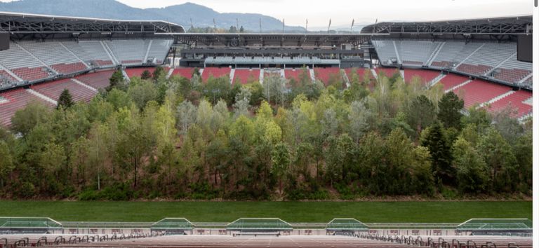 غابة داخل استاد في النمسا تحمل رسالة للحفاظ على البيئة